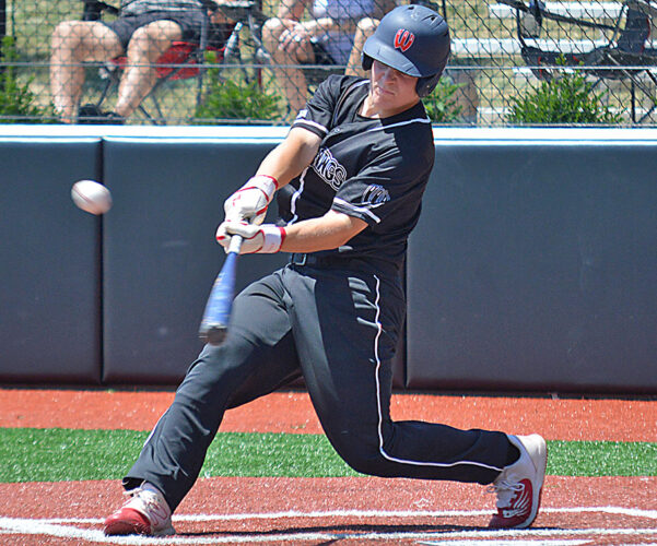 Wildthings Fall Short of Championship Game
